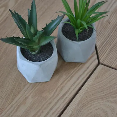 Апартаменты 38